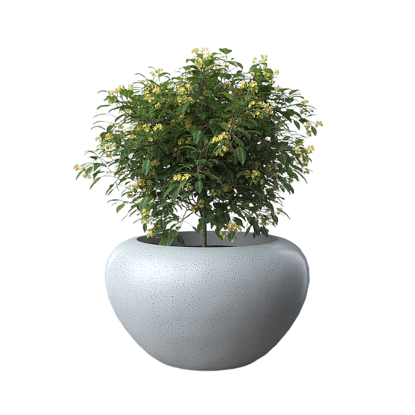 Кашпо и вазоны  