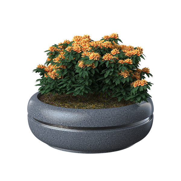 Кашпо и вазоны  