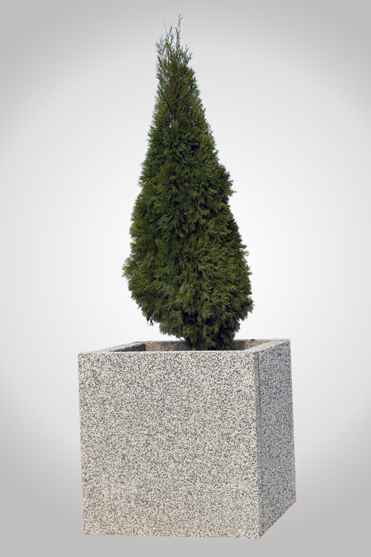 Кашпо и вазоны  