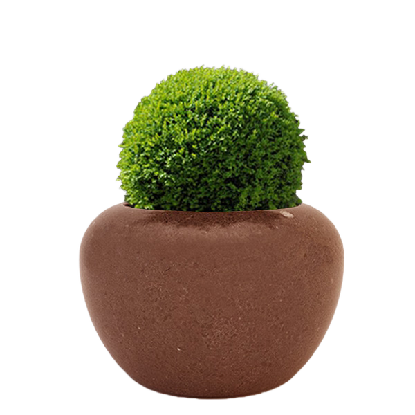 Кашпо и вазоны  