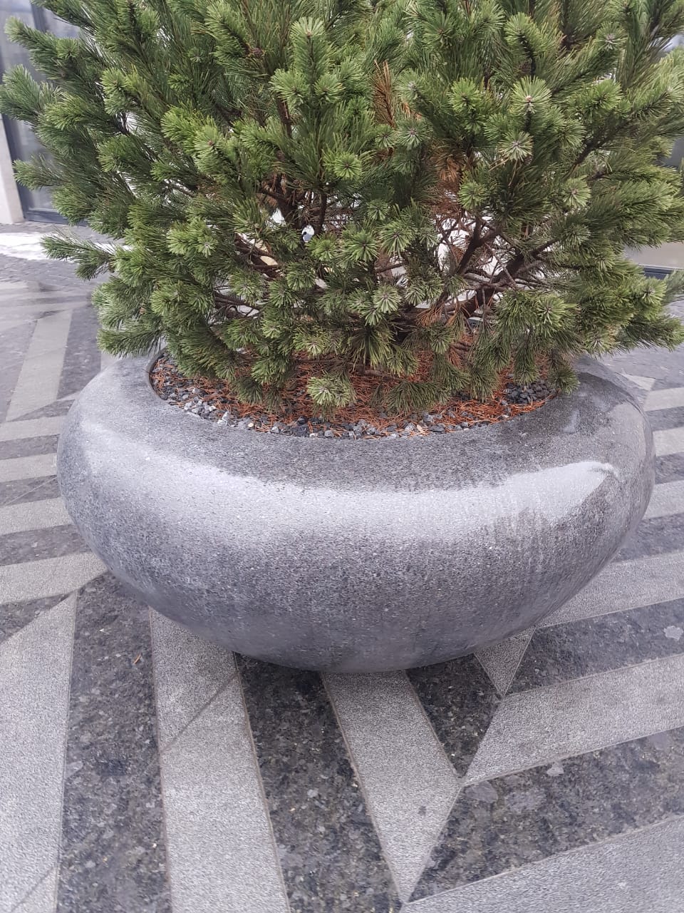 Кашпо и вазоны  