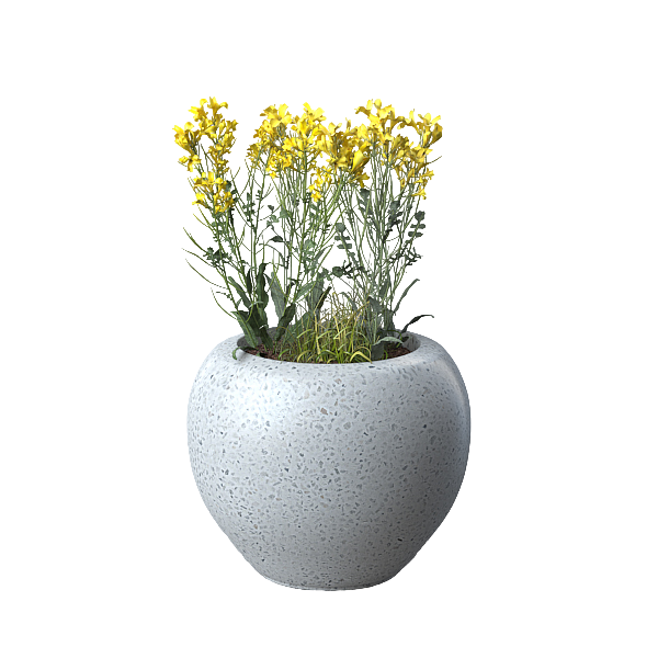 Кашпо и вазоны  