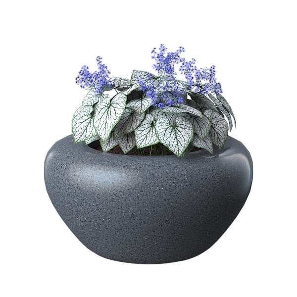 Кашпо и вазоны  