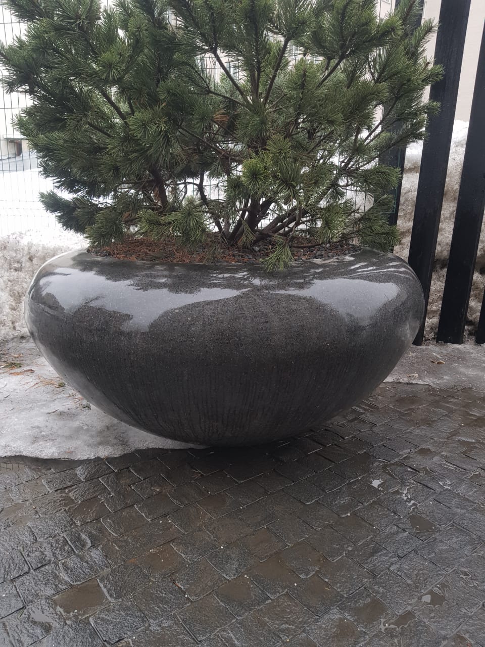 Кашпо и вазоны  